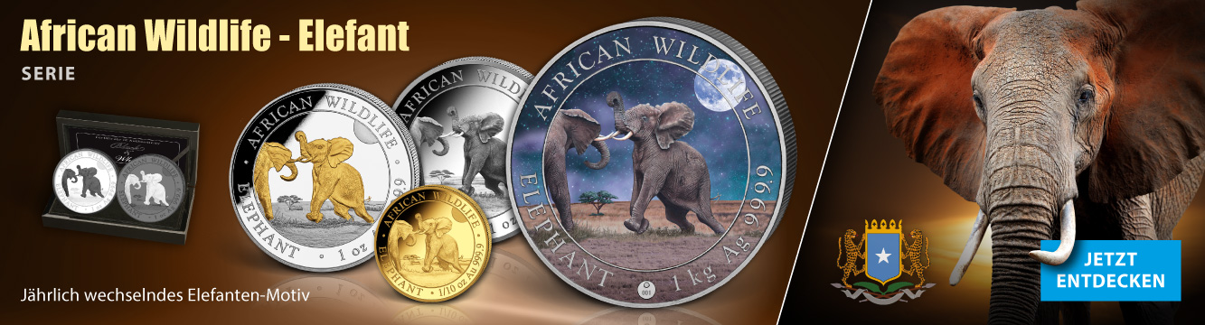 African Wildlife Elefant Serie