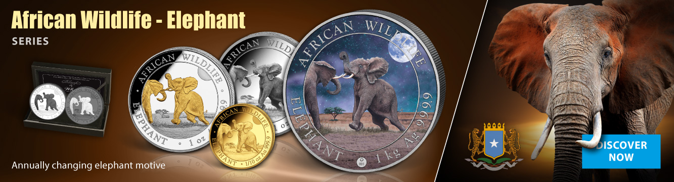 African Wildlife Elephant Series