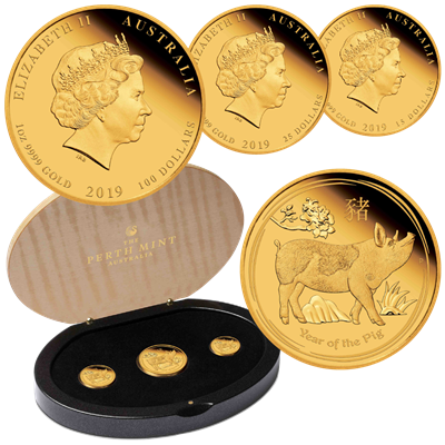 The year of the pig gold Chinese zodiac 2019 anniversary coins souvenir coinsPVC 